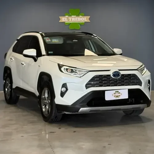 Toyota Rav4 Hibrid 2.5 Hv Limited Awd At 2019