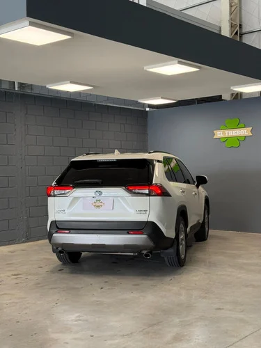 Toyota Rav4 Hibrid 2.5 Hv Limited Awd At 2019