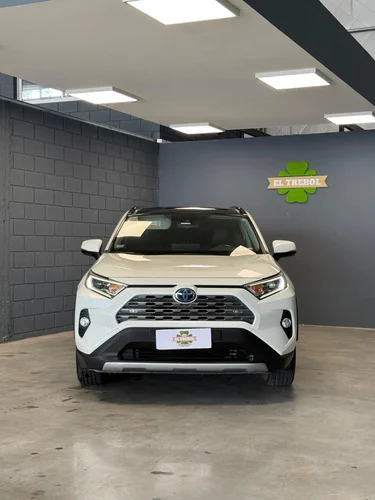 Toyota Rav4 Hibrid 2.5 Hv Limited Awd At 2019